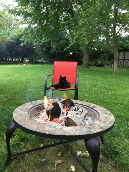 Entry image for Biggins. Clicking this image will show a larger photo