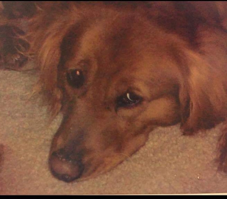 Entry image for Girl. Clicking this image will show a larger photo