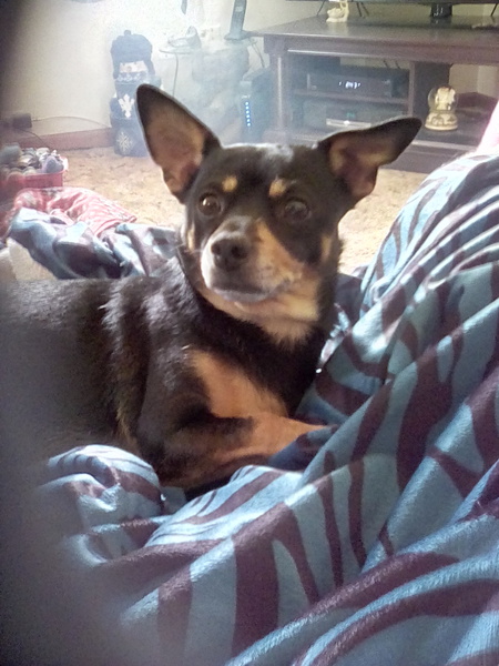 Entry image for Poppers. Clicking this image will show a larger photo