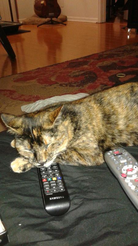 Entry image for Sweetie . Clicking this image will show a larger photo