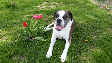 Entry image for Shooter. Clicking this image will show a larger photo