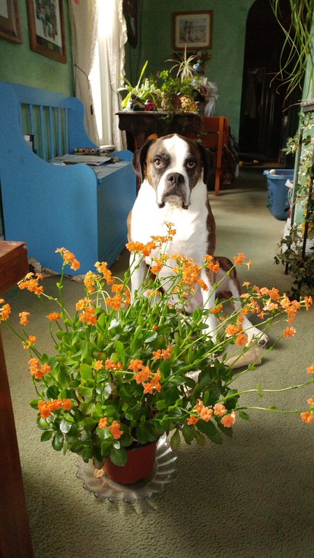 Entry image for Shooter. Clicking this image will show a larger photo