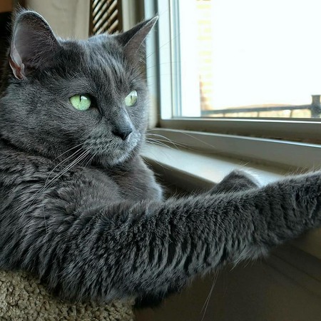 Entry image for Sophia Elizabeth. Clicking this image will show a larger photo