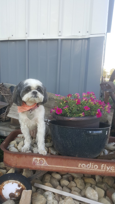 Entry image for Ali Bentley . Clicking this image will show a larger photo