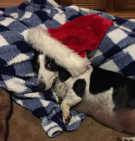 Entry image for Ross Co. Clicking this image will show a larger photo