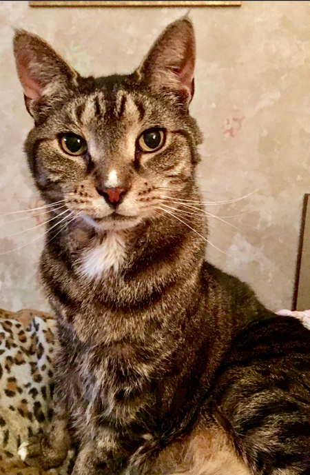 Entry image for Pooter. Clicking this image will show a larger photo