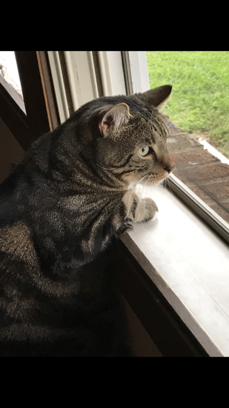 Entry image for Jack. Clicking this image will show a larger photo