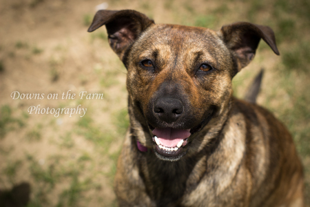 Entry image for Carly. Clicking this image will show a larger photo