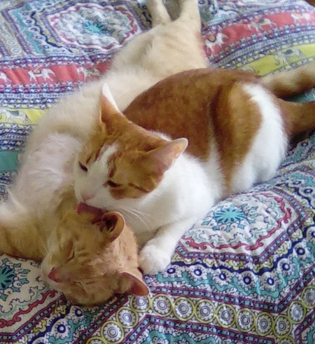 Entry image for Wally and Jimmy. Clicking this image will show a larger photo