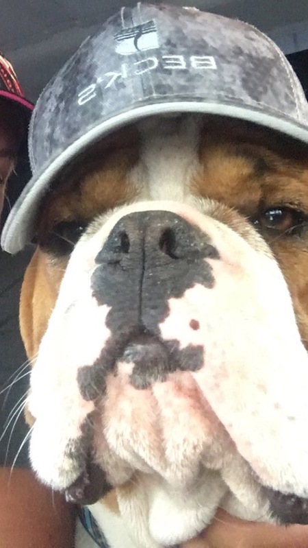 Entry image for Ace. Clicking this image will show a larger photo