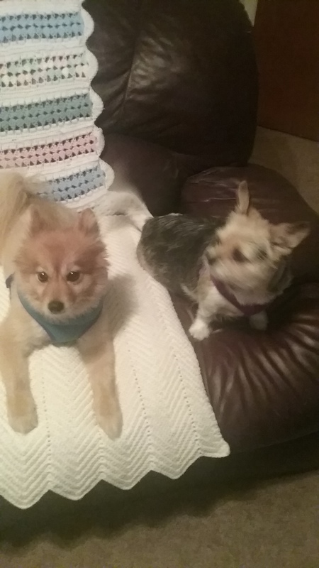 Entry image for Sammie and Mitzi. Clicking this image will show a larger photo