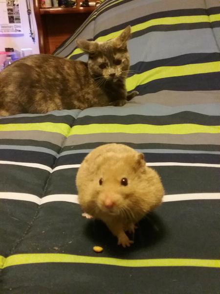 Entry image for Spaz & Rana. Clicking this image will show a larger photo