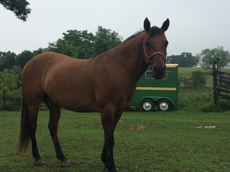 Entry image for Mamma. Clicking this image will show a larger photo