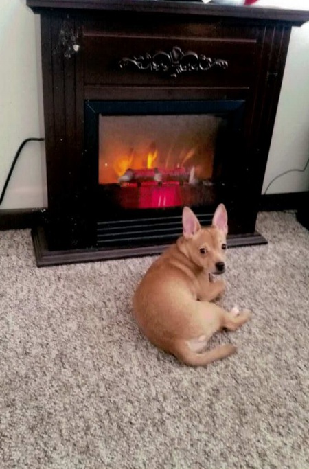 Entry image for Marilyn Monroe. Clicking this image will show a larger photo