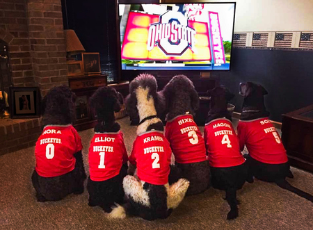 Entry image for Nora, Elliot, Kramer, Bixby, Maggie. Clicking this image will show a larger photo