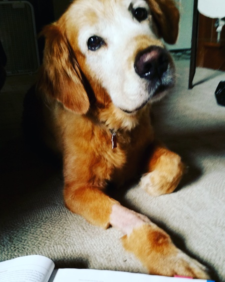 Entry image for Hunter. Clicking this image will show a larger photo