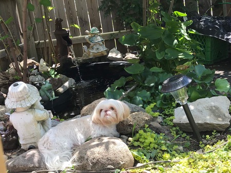 Entry image for Princess. Clicking this image will show a larger photo