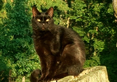 Entry image for Boobar. Clicking this image will show a larger photo