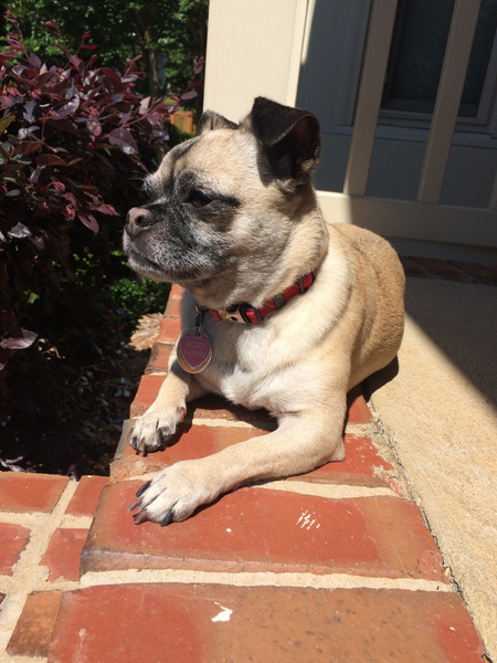 Roxy