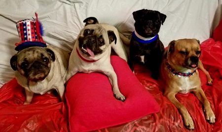 Tater, Griff, Ace, Pepper