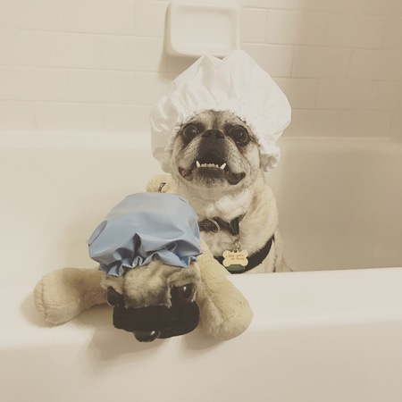 Igor
