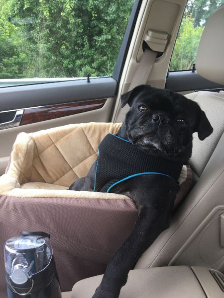 Frankie