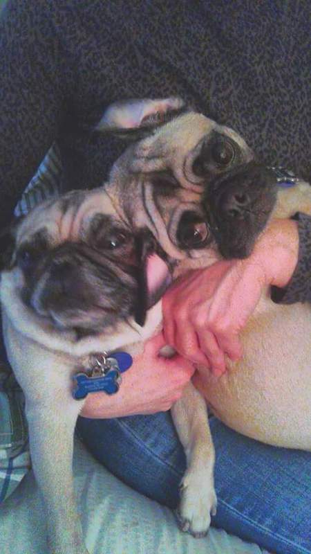 Rufus T Firefly and The Dude