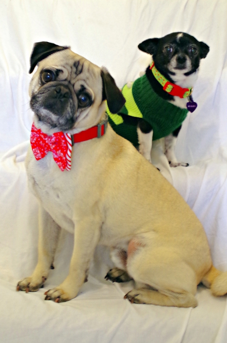 Boo Boo and his sidekick Oreo