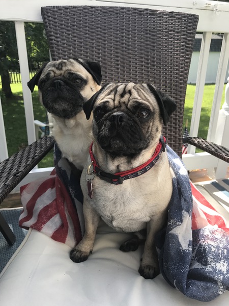 Duke (front) and Jackson 