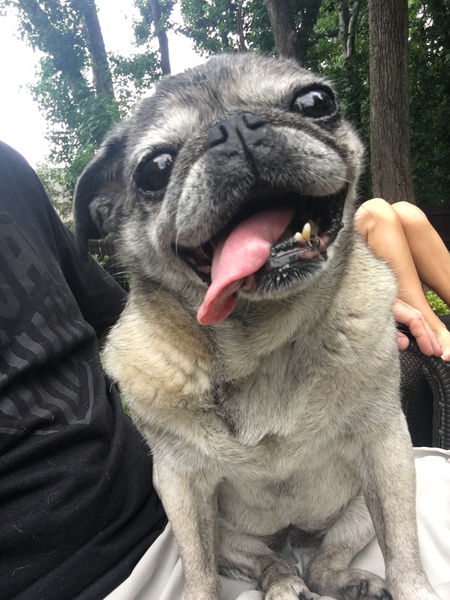 nellie