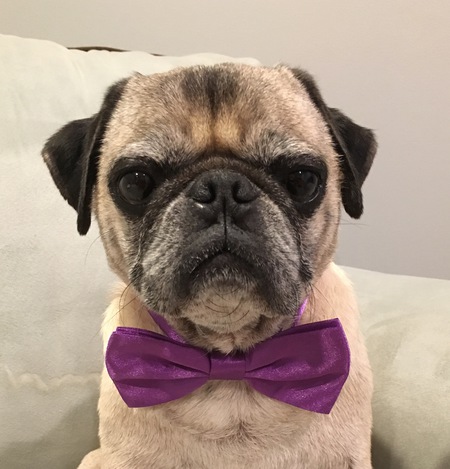 GusGus
