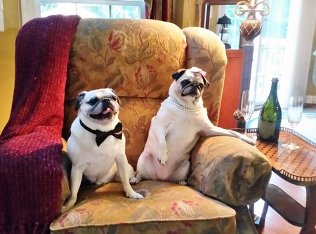 Alvin and Layla