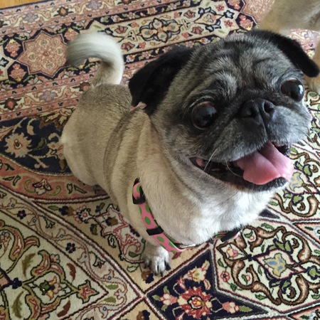 Lucy