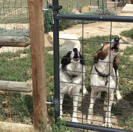 Sadie and Charles