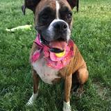 Entry image for Chloe