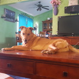 Entry image for Kaileena