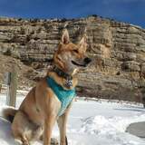 Entry image for Samuel Landon