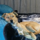 Entry image for Kaileena