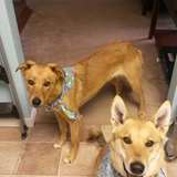 Entry image for Kaileena and Samuel Landon