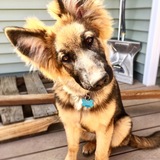 Entry image for Minna