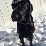 Entry image for Kato