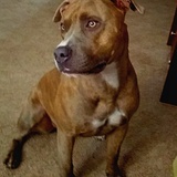 Entry image for Blue