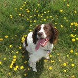 Entry image for Sonny 