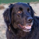 Entry image for Chili