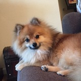 Entry image for Carlos