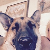 Entry image for Reno 