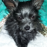 Entry image for Khloe