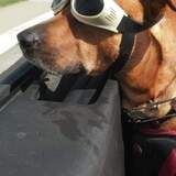 Entry image for Conan