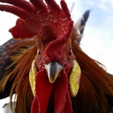 Entry image for Abracadabra