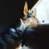 Entry image for Lena